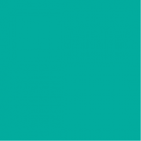 /album/pixink/carre-vert-2-png/